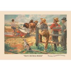   the Ideal Binder   Deering Harvester Co. 20x30 poster