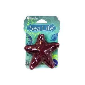 Blue Moon Beads Sea Life Ceramic Starfish Purple Arts 