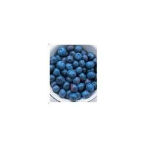  Blueberry Max Antioxidant