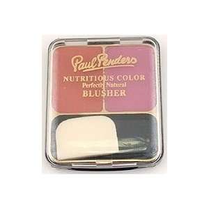  Paul Penders   Blusher Compact Cool Tones   Nutritious 