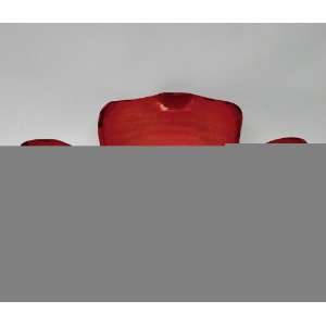  Red Terra Cotta Petal Platter