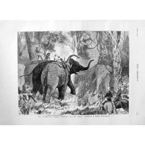  1876 PRINCE WALES HUNTING TERAI BINDING WILD ELEPHANT 