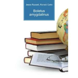  Boletus amygdalinus Ronald Cohn Jesse Russell Books