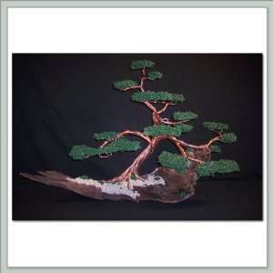 Wire Bonsai Tree by Dale Bartlett   Copper Green on Wood  