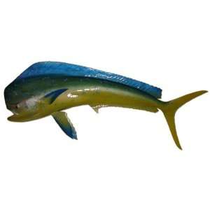 50 Mahi Half Mount Fish Replica Taxidermy  Sports 