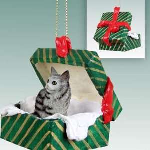    Silver Maine Coon Green Gift Box Cat Ornament