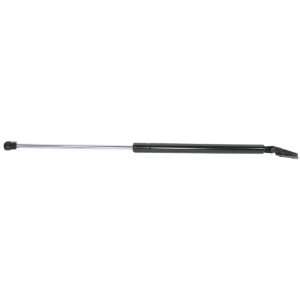   6220R Subaru Forester 1998 99 Tailgate (R) Lift Support, Pack of 1