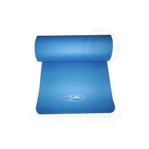  FitBALL Mat   Blue   Size 49 Length Health & Personal 