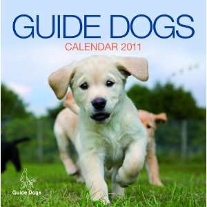  2011 Dog Calendars Guide Dogs   12 Month Official 
