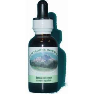  HoneyCombs Echinacea Extract Alcohol Free (Liquid), 1 oz 