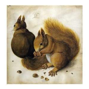   Durer   Two Squirrels, One Eating A Hazelnut Giclee