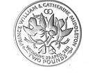 2011 silver british indian ocean royal wedding coin
