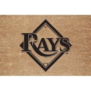 MLB Tampa Bay Devil Rays Flocked Door Mat  Sports 