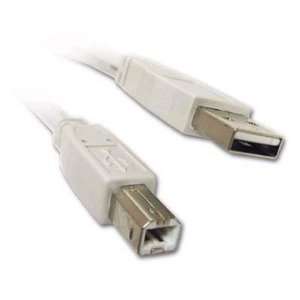    USB A B Printer / Scanner / Device Cable 6ft by Pexell Electronics