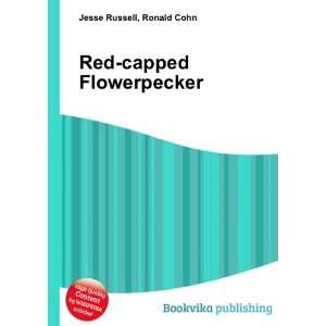  Red capped Flowerpecker Ronald Cohn Jesse Russell Books
