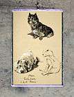 CAIRN TERRIER Dog altered art PENDANT ornament for necklace