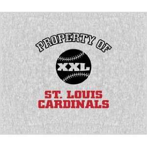  St. Louis Cardinals 58in x 48in Property Of MLB Sports 