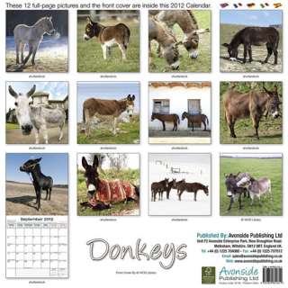 traffic get vendio gallery now free donkeys 2012 calendar new