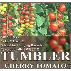   Tomato seeds HEIRLOOM GREAT 4 BASKET EXCEPTIONALLY SWEET Patio, Lawn
