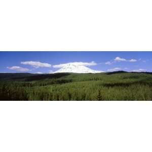  Mount Adams, Gifford Pinchot National Forest, June, Late 