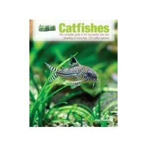  New Tfh Catfish Aquarium Success High Quality Popular 