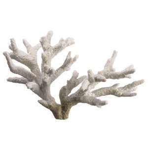  4.5Hx9W Staghorn Coral Natural (Pack of 6)