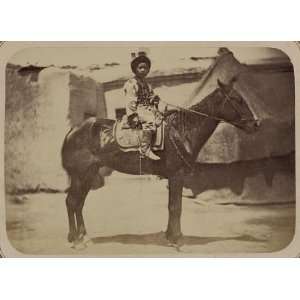  Horse,transportation,saddle gear,Central Asia,c1865