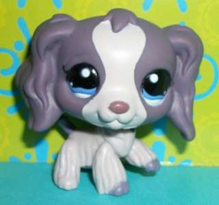 Littlest Pet Shop~#1209 PURPLE COCKER SPANIEL DOG Dot Eyes~M193 LPS 