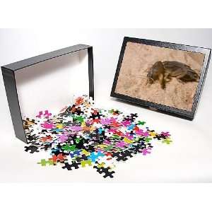   Jigsaw Puzzle of Mole Cricket from Ardea Wildlife Pets Toys & Games