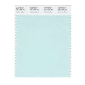   SMART 12 5209X Color Swatch Card, Soothing Sea