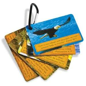  VBS SonRise Connection Cards (25 Pack) 