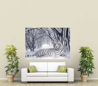 White Tiger Snow GIANT POSTER PRINT X1782  