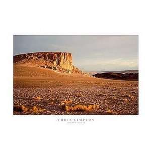  Chris Simpson   Atacama Desert Size 27x20 Poster Print 
