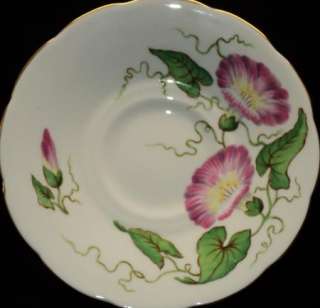 Tuscan HP PINK MORNING GLORY GOLD Simply Tea cup and saucer  