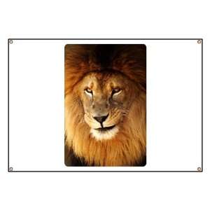  Banner Male Lion Smirk 