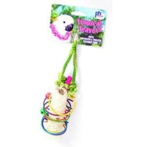   Pet Products Tropical Teasers Rings of Fire Bird Toy