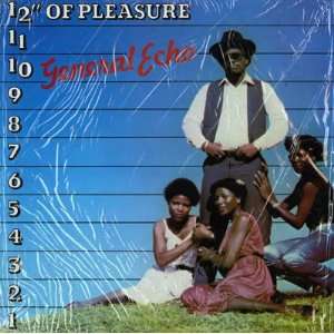    12 Inches Of Pleasure General Echo / AKA Ranking Slackness Music