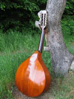 Waldzither   5 course cittern   no mandola bouzouki octave mandolin 