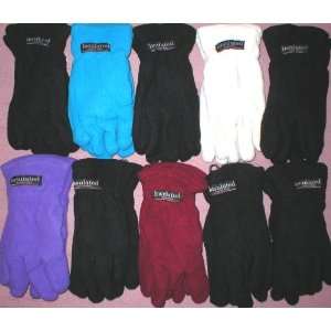   Womens Polar Fleece Warm Winter Gloves New Resale Great Charity Gift