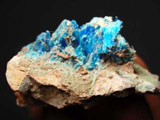 All Natural Blue Chalcanthite on Matrix, Planet Mine, AZ CHA133 