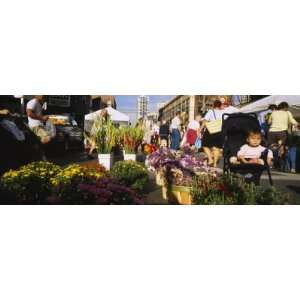  Chicago Farmers Market, Chicago, Illinois, USA Stretched 