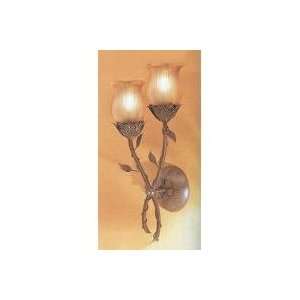  Kichler Conservatory Outdoor Rose 2Lt Wall Sconce   9004 