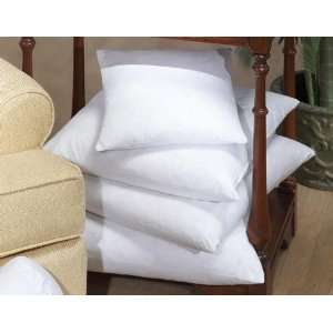  Downlite 20 x 20 95/5 Goose Feathers & Down Pillow Insert 
