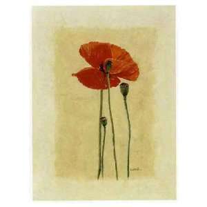  Coquelicot 4 by Laurence David 12x16