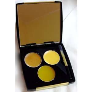   Shades of Yellow & Gold Lipgloss Palette Compact~ Pollen ~ Beauty