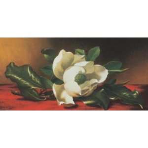  Magnolia (Canv)    Print