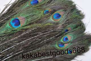 HOT SALE Real Peacock Tail Feathers Hair Extensions Crafts Arts PP90 