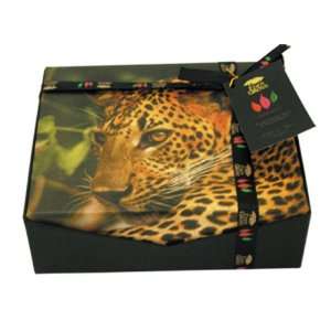 Eden Grove Tiger Gift Pyramid Tea Bags, 36 Count, 3.8 Ounce Box