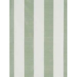  Bruschi Palm by Robert Allen Fabric