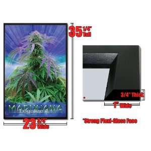  Framed Marijuana Poster Legalize It Pot Ganja Fr 1299 